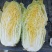 精品大白菜