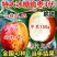 嫁接枣树苗特大耐寒地栽庭院盆栽阳台沾化冬枣明年结果包邮价