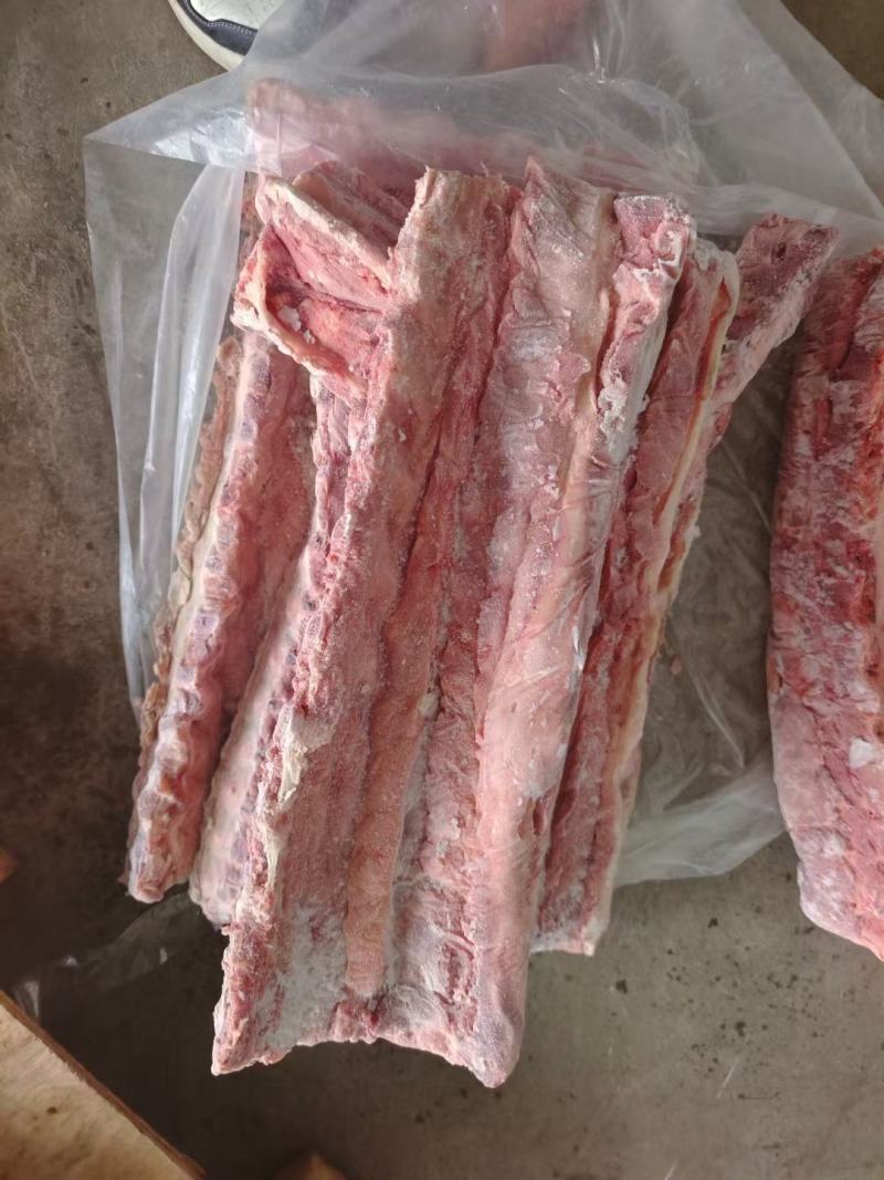 母猪二级龙骨今年新货
