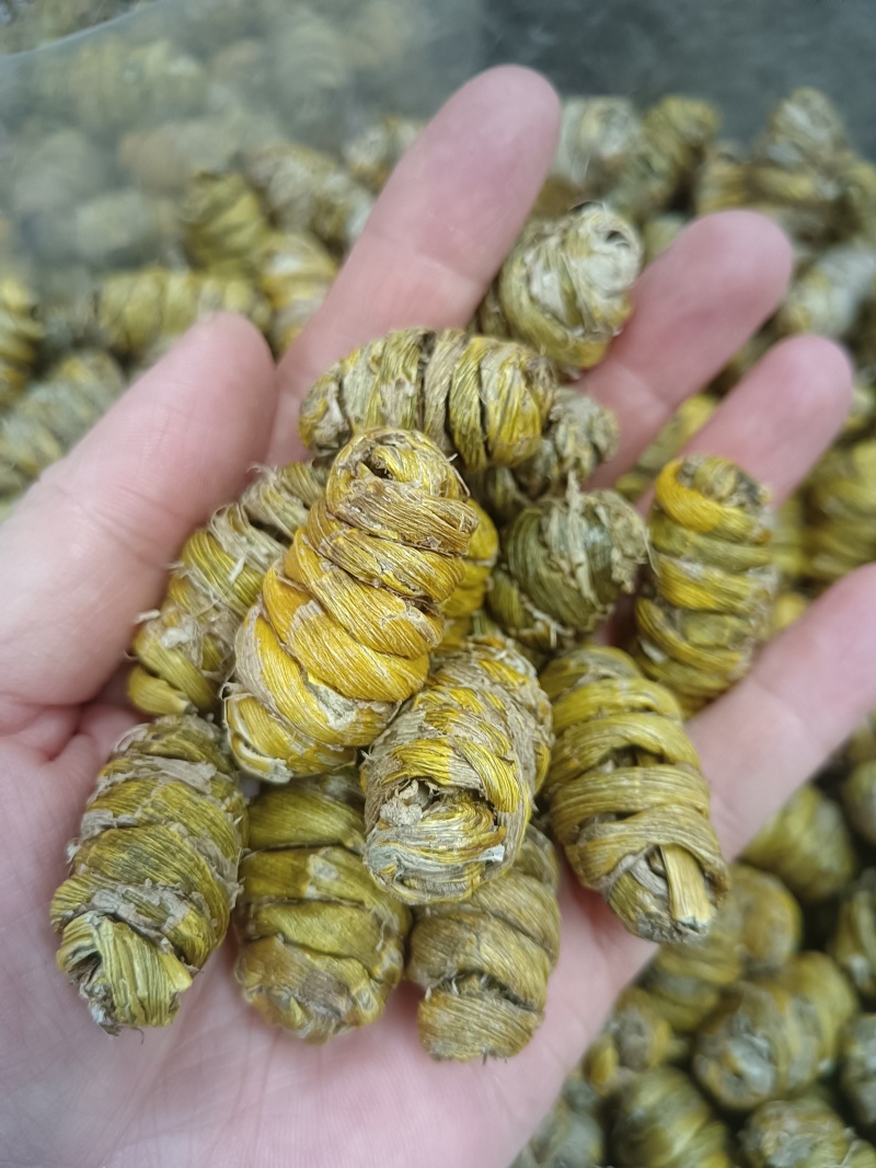 铁皮石斛枫斗（选货，特级，基地直发，支持全国各地发货）