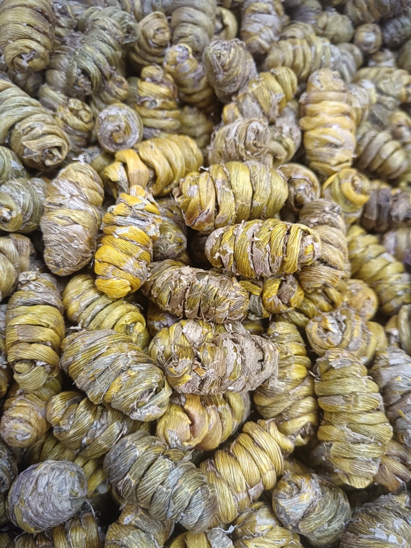 铁皮石斛枫斗（选货，特级，基地直发，支持全国各地发货）
