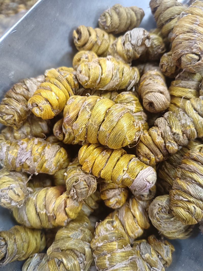 铁皮石斛枫斗（选货，特级，基地直发，支持全国各地发货）
