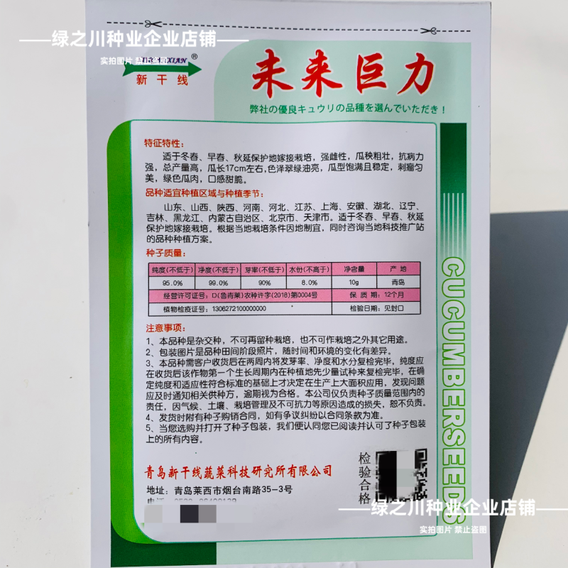 未来巨力水果黄瓜种子甜脆绿肉耐低温强雌油亮黄瓜种子