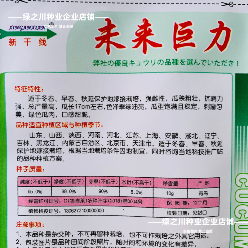 未来巨力水果黄瓜种子甜脆绿肉耐低温强雌油亮黄瓜种子