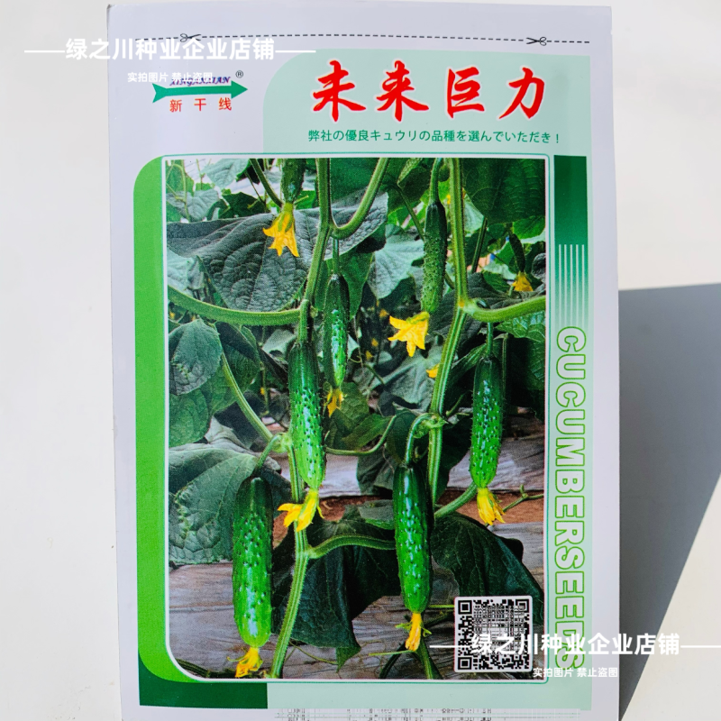未来巨力水果黄瓜种子甜脆绿肉耐低温强雌油亮黄瓜种子