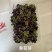 精品菜苗紫菘芽，夏季优选，适用酒店餐饮等