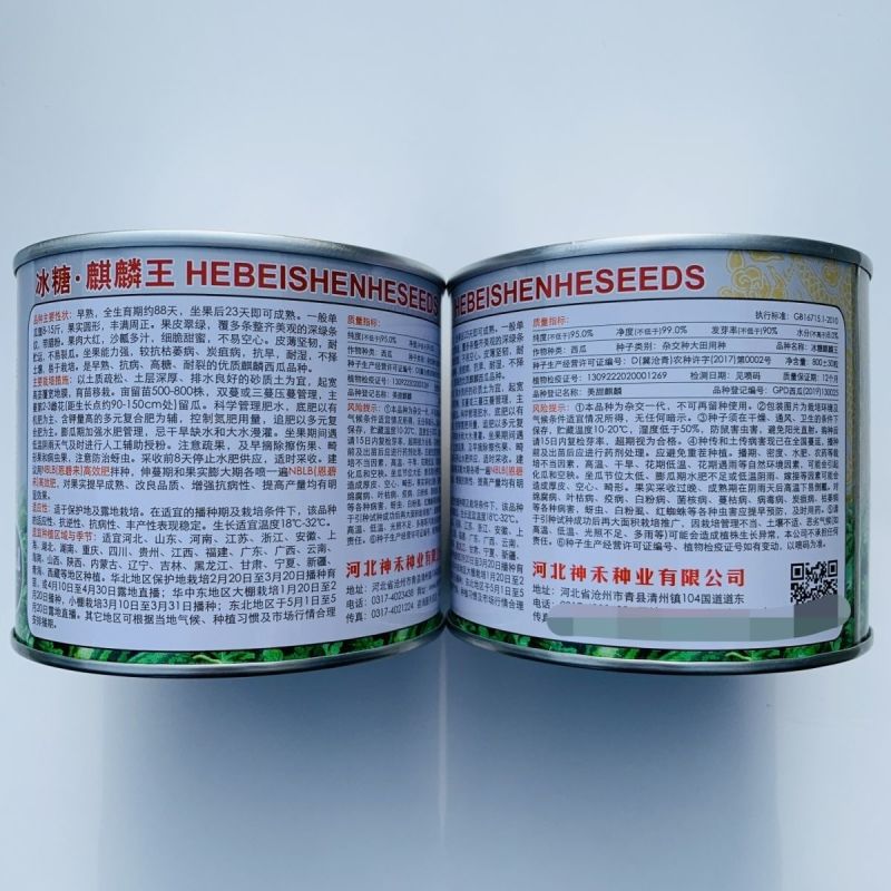 冰糖麒麟王西瓜种子早熟抗病高糖果实圆型果肉大红色沙瓤多