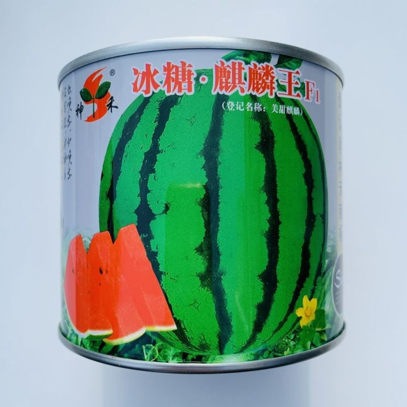 冰糖麒麟王西瓜种子早熟抗病高糖果实圆型果肉大红色沙瓤多