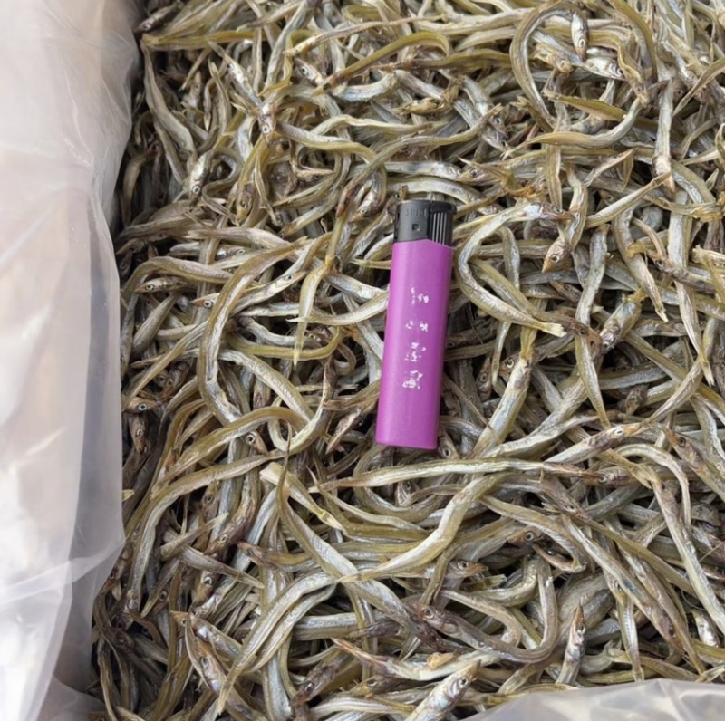 银针鱼地摊电商批发鱼干干鱼干银针鱼银针鱼干