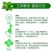 17-17-17硫酸钾型复合肥高端肥料源头厂吸收利用率高