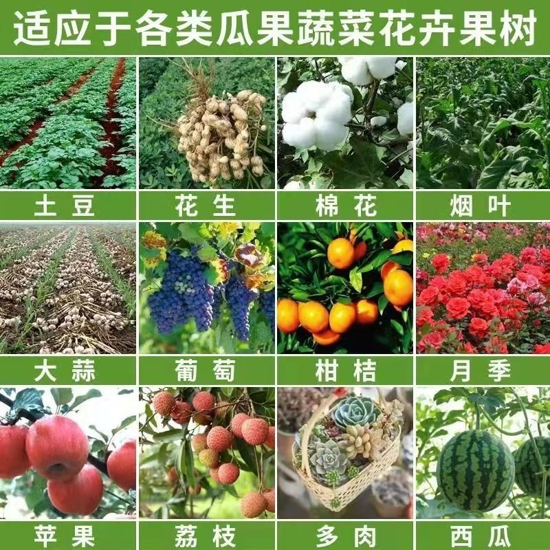 17-17-17硫酸钾型复合肥高端肥料源头厂吸收利用率高