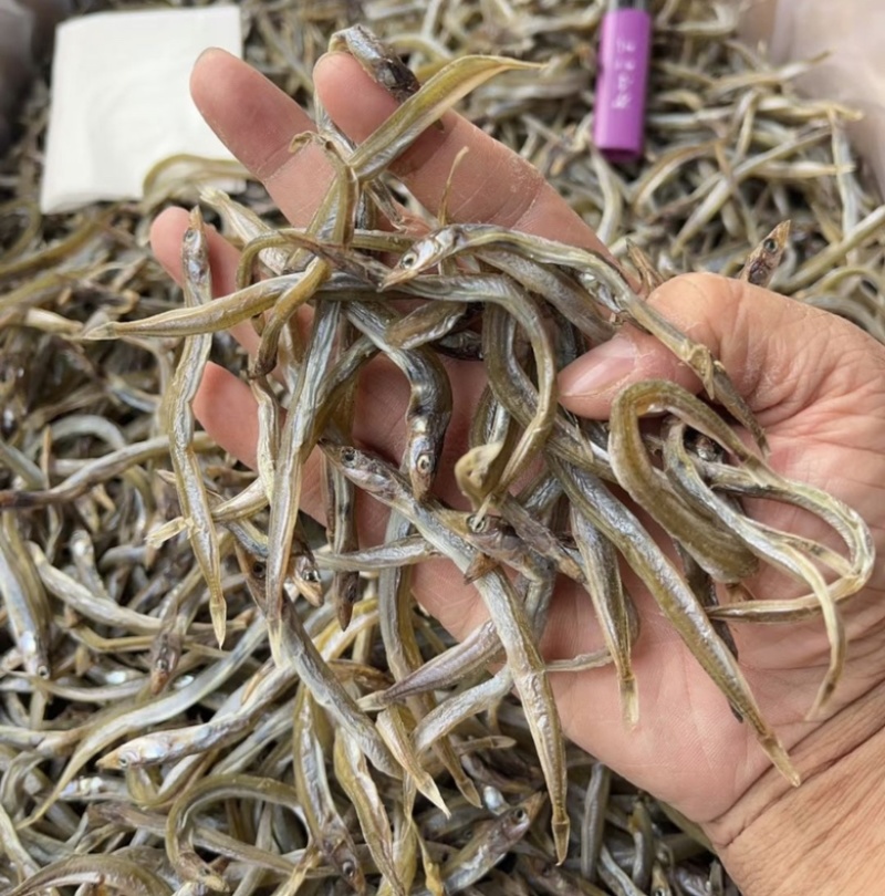 银针鱼地摊电商批发鱼干干鱼干银针鱼银针鱼干