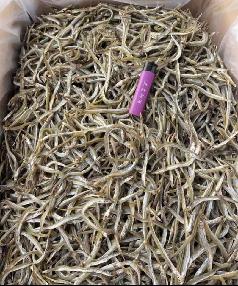 银针鱼地摊电商批发鱼干干鱼干银针鱼银针鱼干