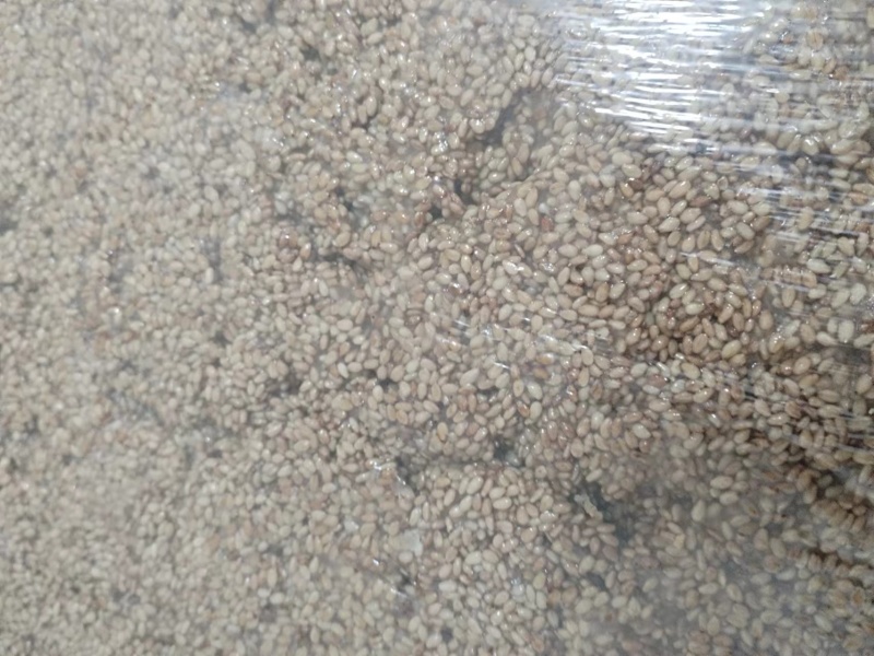 新疆手工做的切糕