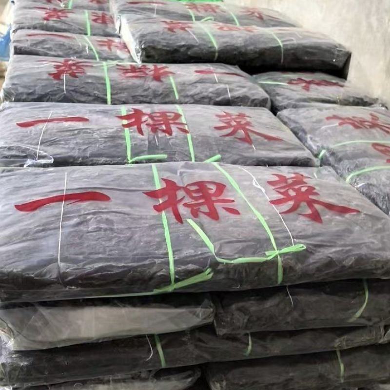 干海带短板菜二俩片三俩片一棵菜海带海带片三十公分产地直供