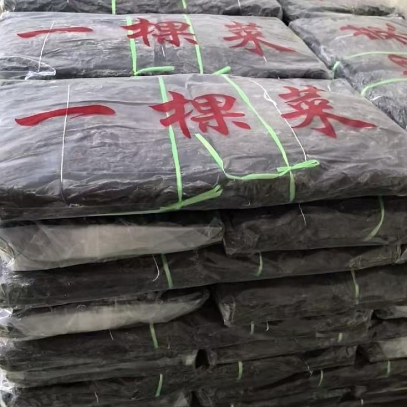 干海带短板菜二俩片三俩片一棵菜海带海带片三十公分产地直供