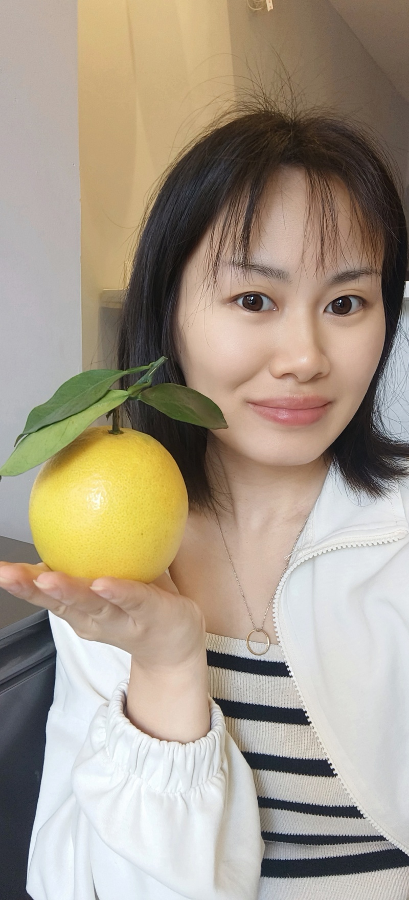 正宗赣南脐橙精品批发/代发/代办