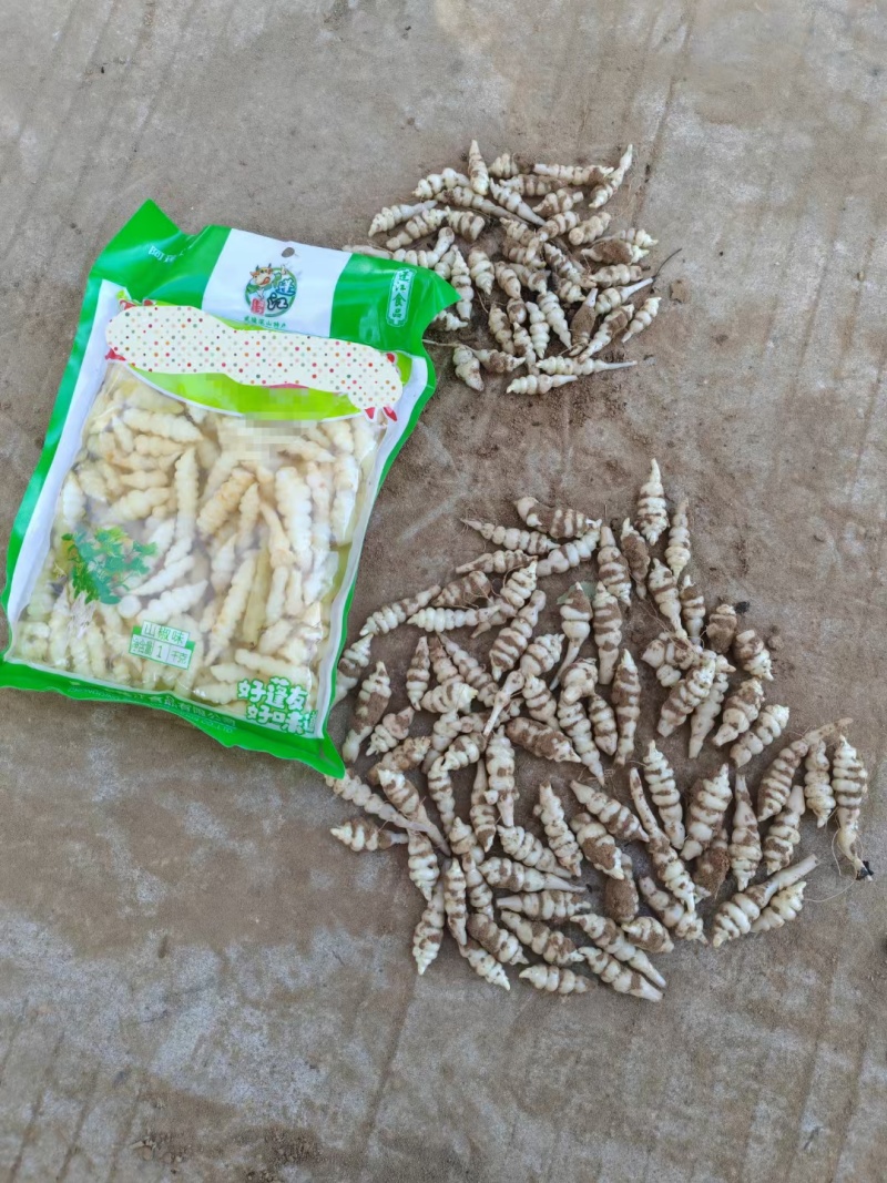 螺丝菜地环洋地瓜大量上市了批发市场平台货