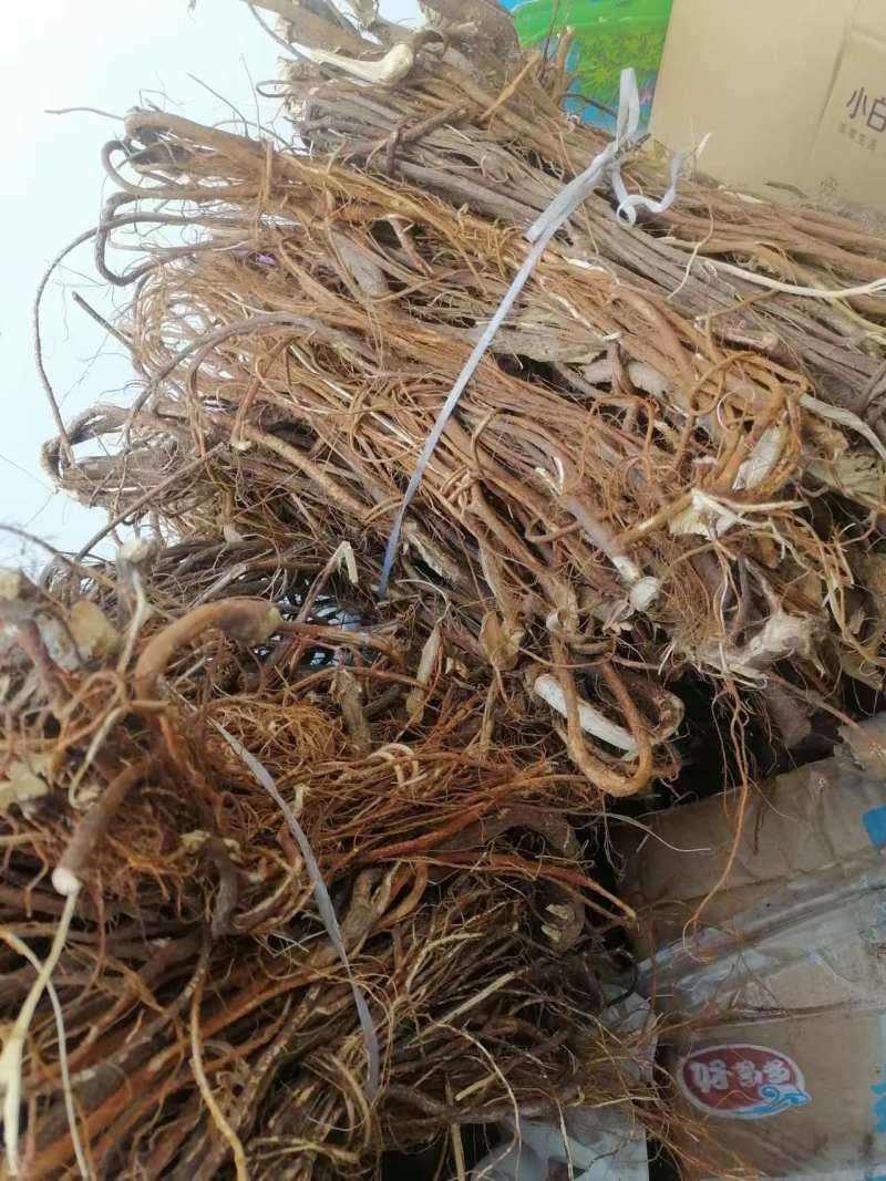 五指毛桃，野生五指毛桃纯根，自然晒干包邮出售！