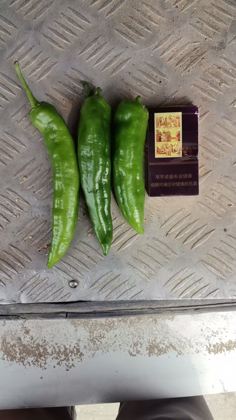 301泡椒电商货，万亩大棚基地直发全国各地区，龚垒代收货