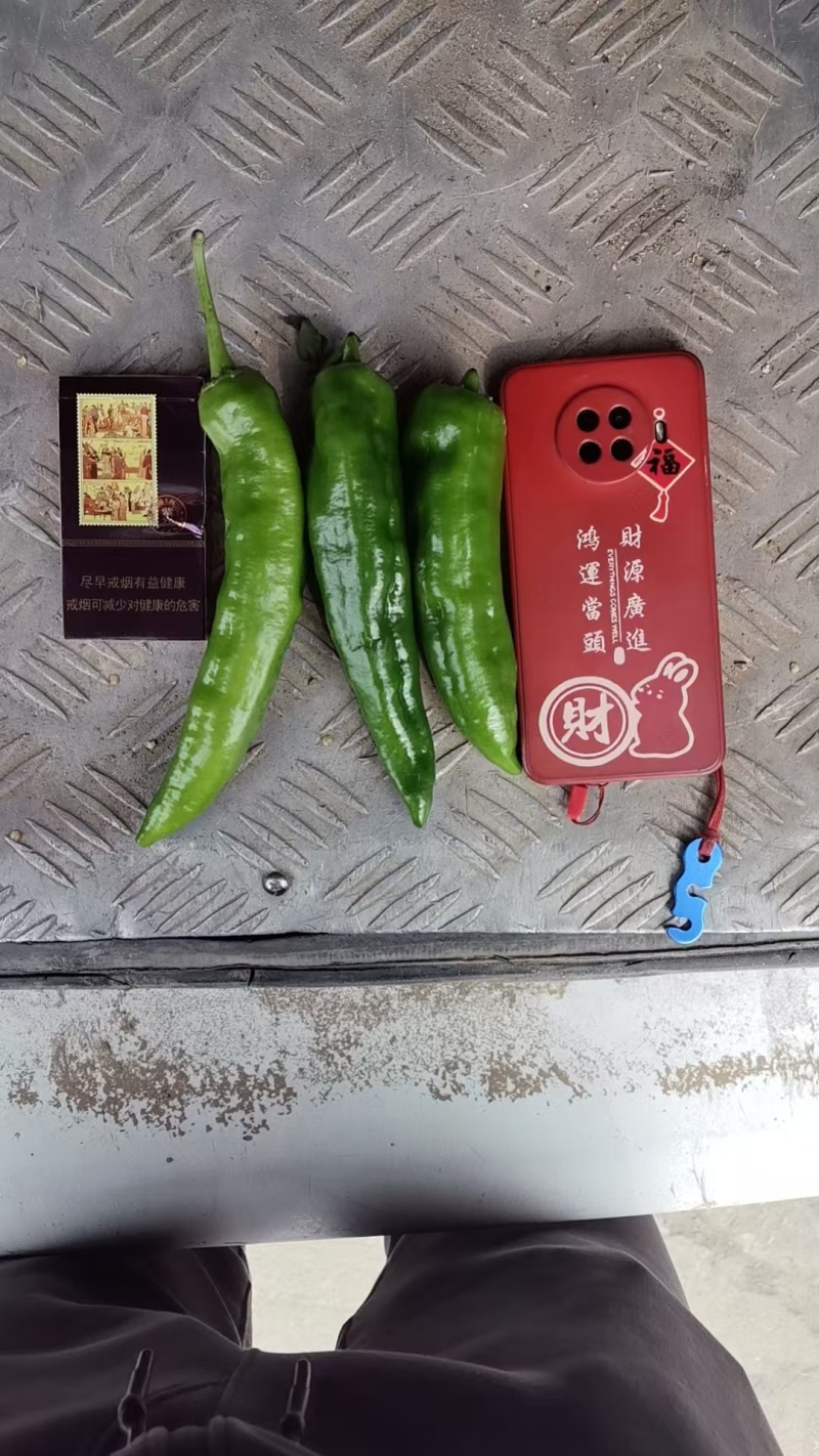 301泡椒电商货，万亩大棚基地直发全国各地区，龚垒代收货