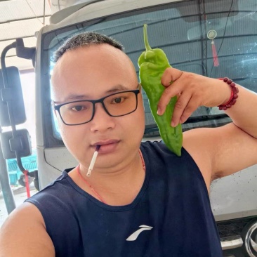 301泡椒电商货，万亩大棚基地直发全国各地区，龚垒代收货