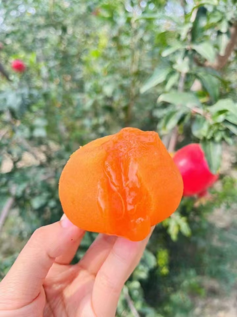富平冰柿，口感像冰淇淋，味道甜，一斤装，可出口