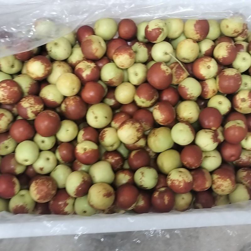 黄骅冬枣