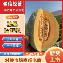 精品哈密瓜晓密25西州蜜17对接市场电商平台