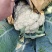 精品有机松花菜散花小米粒产地直发一手货源