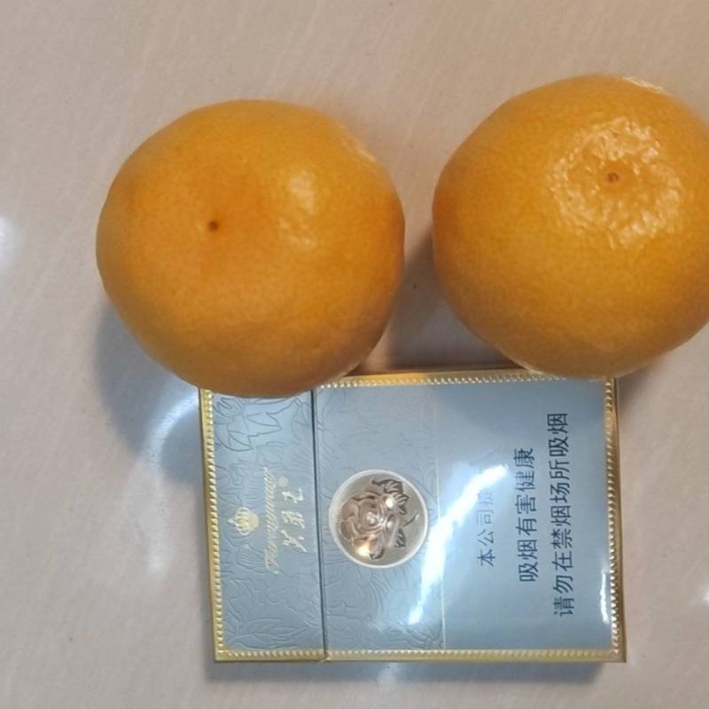 陕西蜜桔6~8公分光果