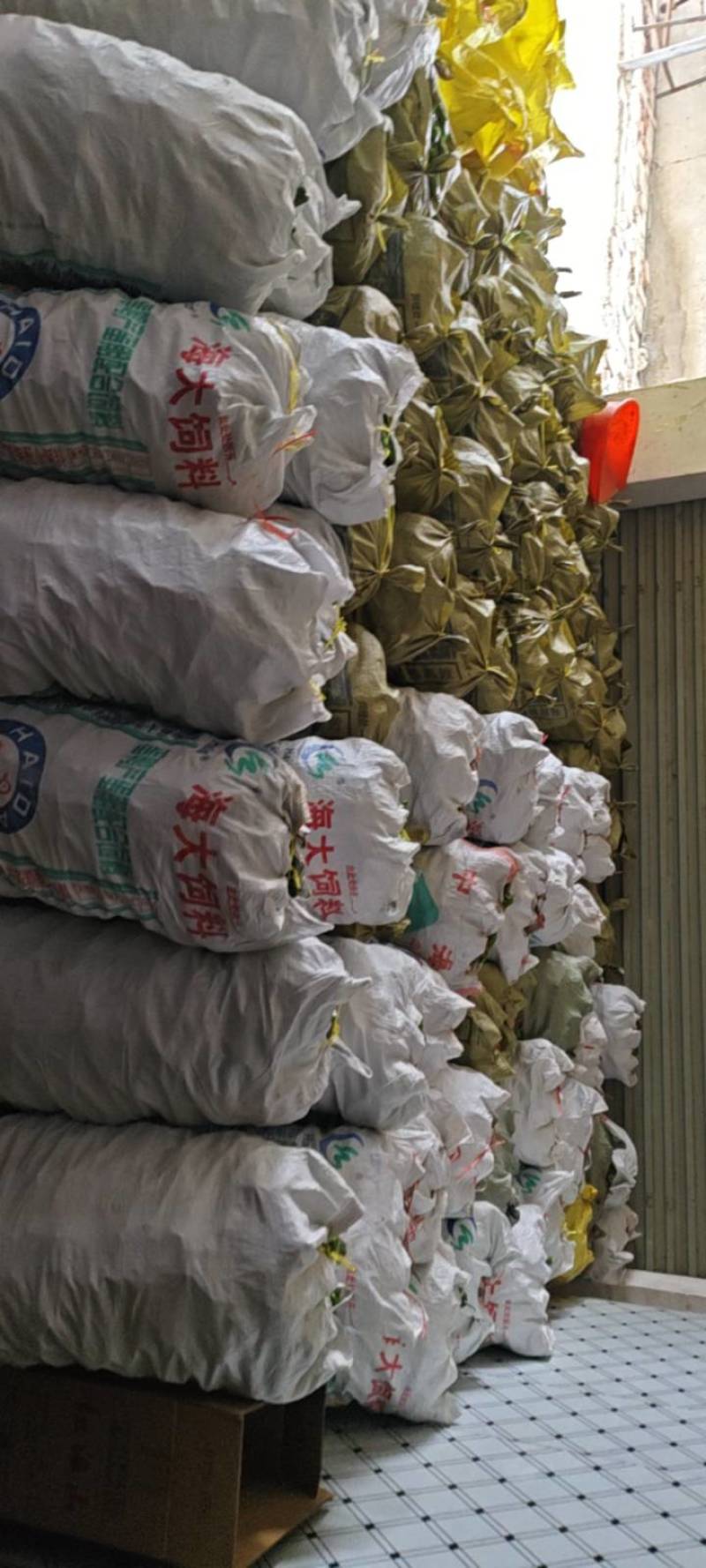 阜阳苏椒301专业代收一条龙服务对接全
