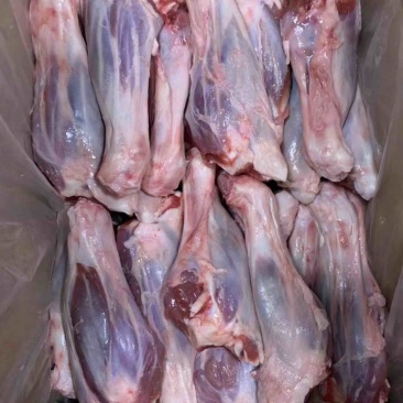 （河北供货）羊前腿，价格便宜，电商，团购，以及饭店，