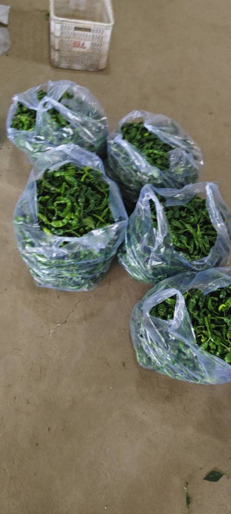 阜阳小皱皮专业代收一条龙服务对接全国各级
