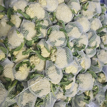 精品花菜，通许产地发货，整车走货，随要随发，白面青底净菜