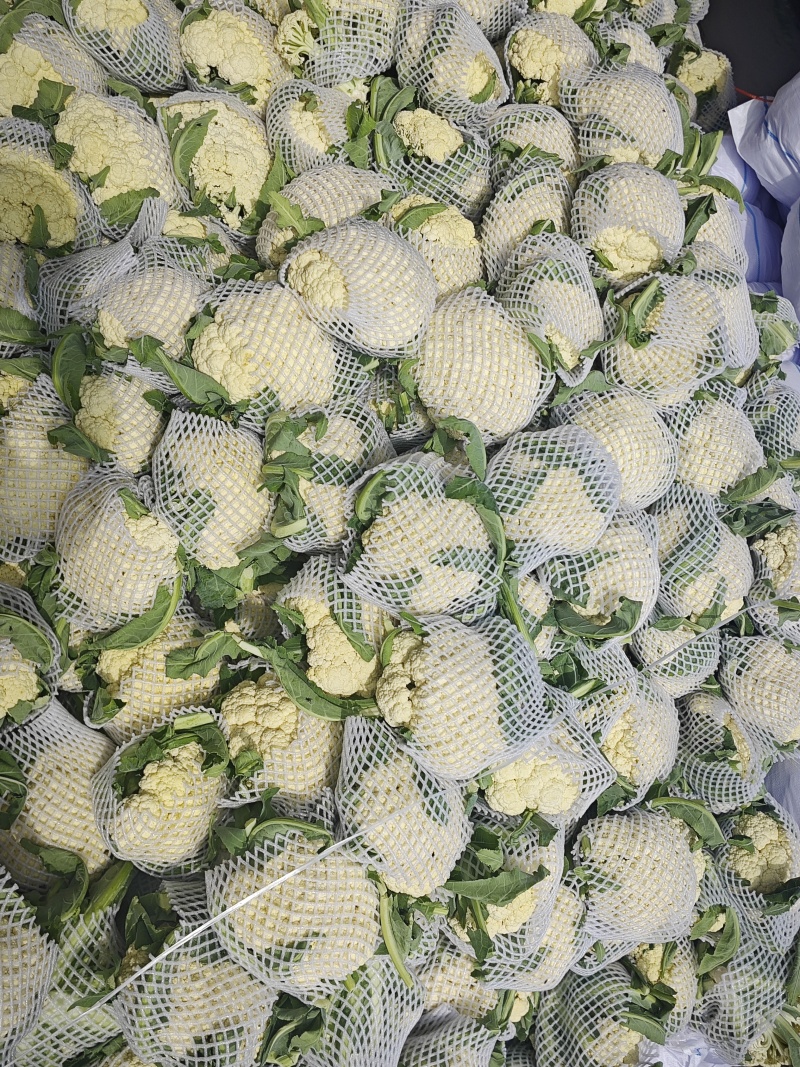 精品花菜，通许产地发货，整车走货，随要随发，白面青底净菜