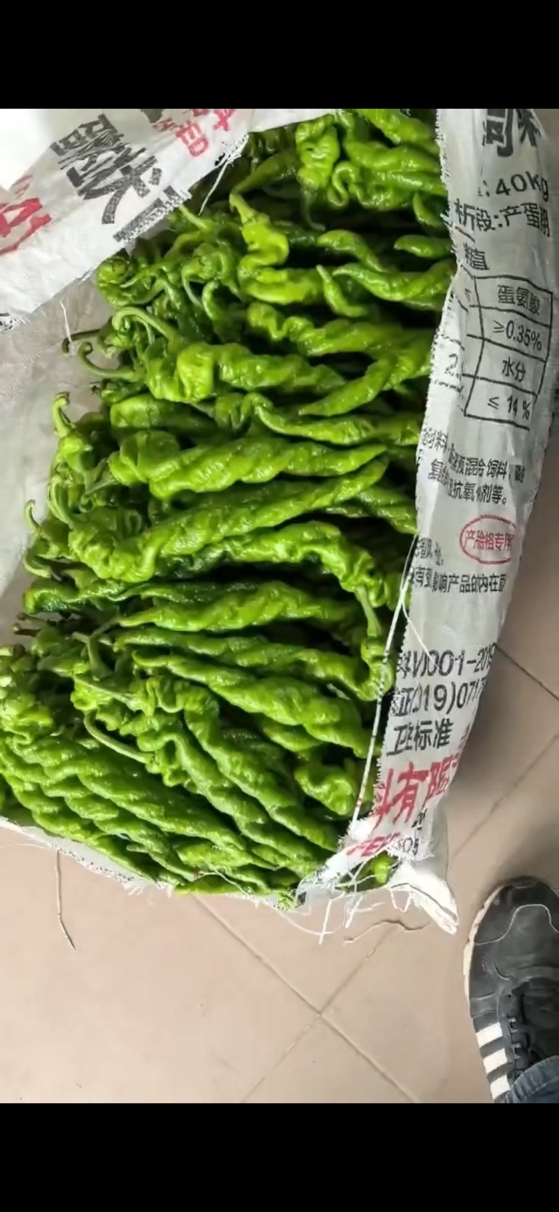 螺丝椒，又叫龙椒，寿光大量现货，欢迎各位老板来电洽谈咨询！