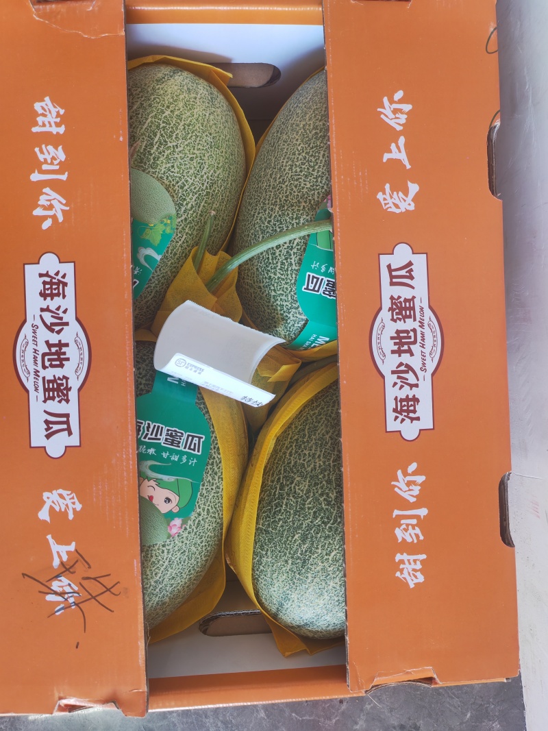 海南晓蜜25，二瓜，产地直供，对接个大市场，电商。