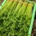 【毛芹】山东青菜毛芹清水洗菜净菜毛菜半毛菜打捆上车自家大