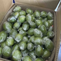 广东香水柠檬