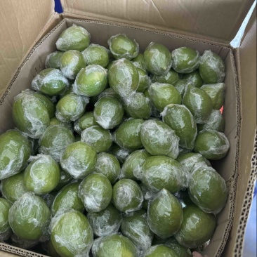 广东香水柠檬