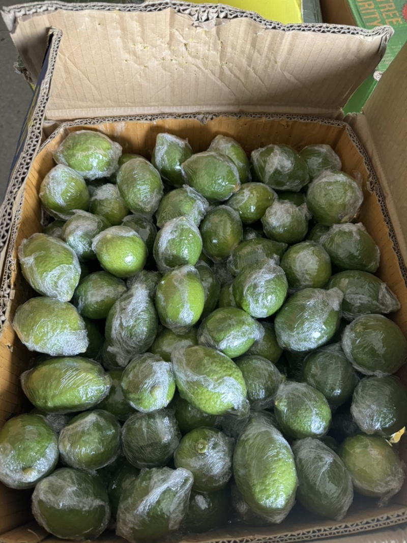 广东香水柠檬