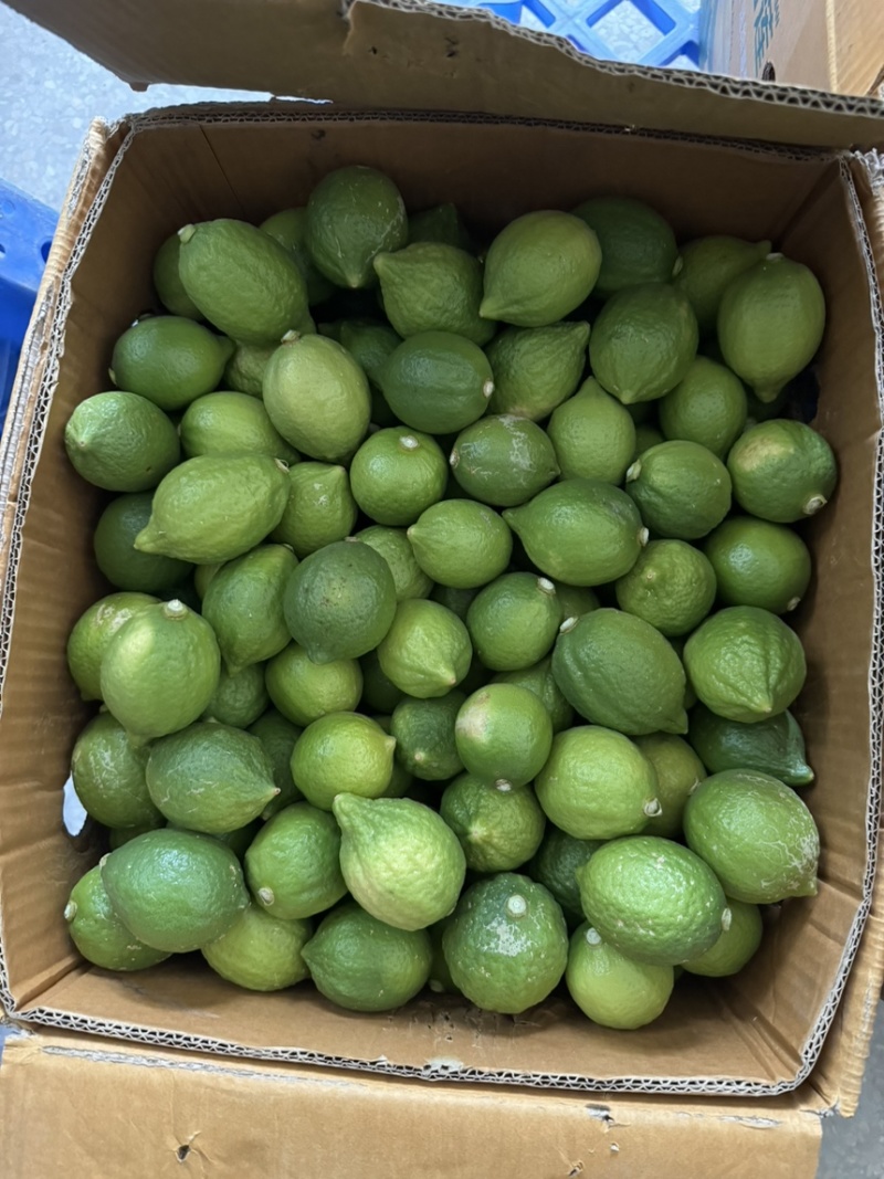广东香水柠檬二级果