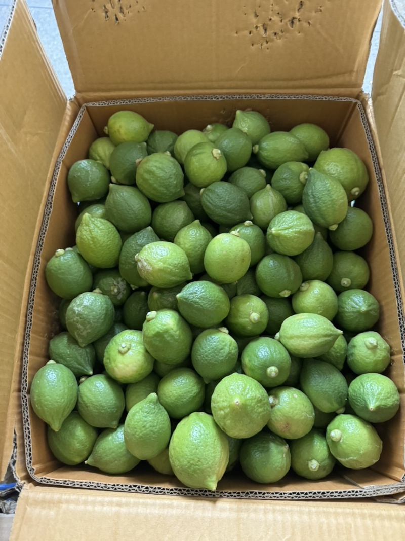 广东香水柠檬二级果