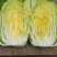 黄心白菜