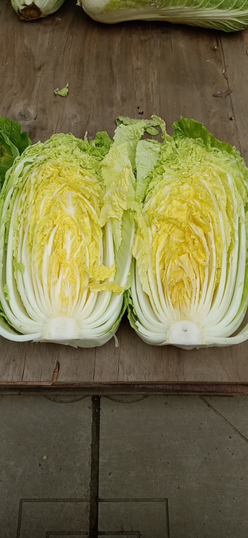 黄心白菜
