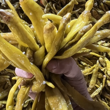 绿泡椒