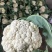 青梗精品有机花菜货源足，全国发货质量好，支持视频看货