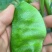 精品梅豆，扁豆