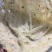 商用手抓饼120g100片装加大加厚装早餐商用批发